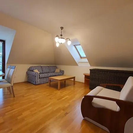 S. Gallen Apartment *